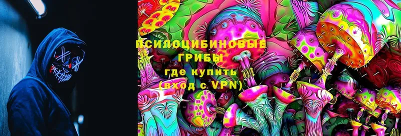 Галлюциногенные грибы MAGIC MUSHROOMS  Новоульяновск 